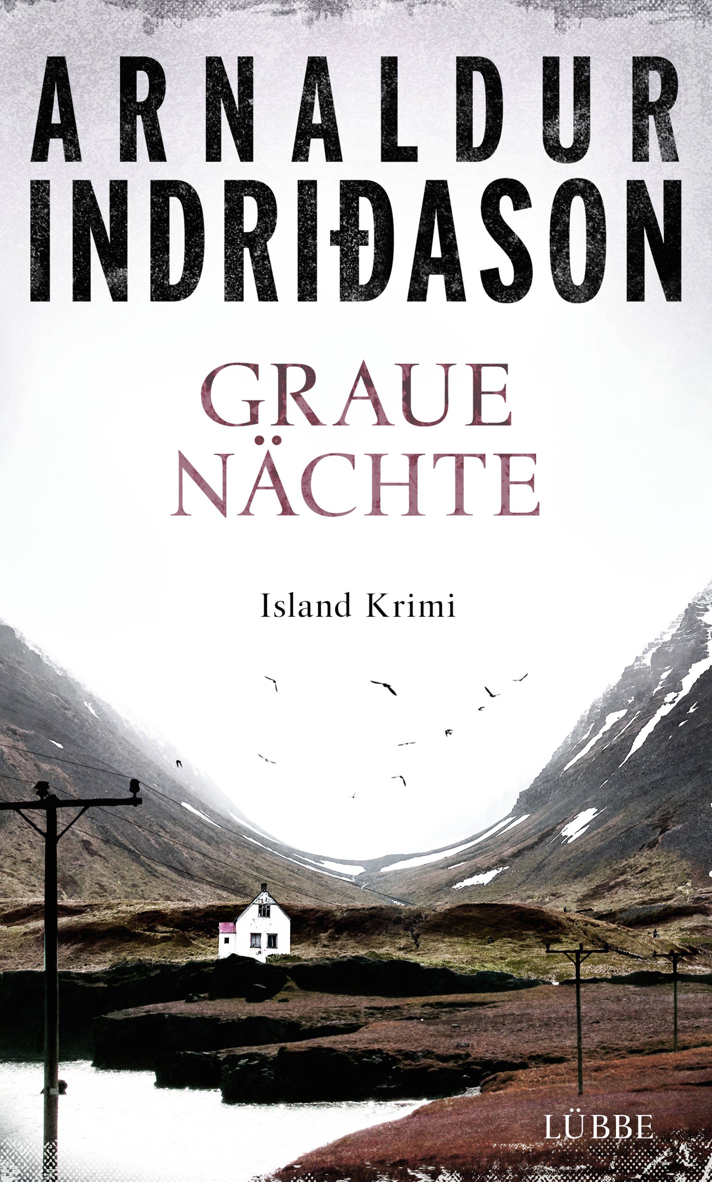 Indridason: Der Reisende